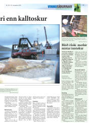 Síða 21
