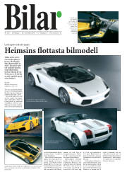 Síða 24