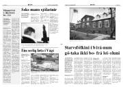 Síða 3