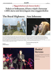 Síða 15
