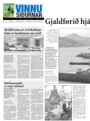 Síða 14