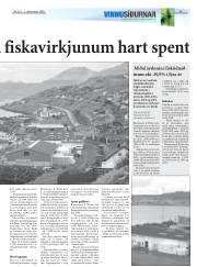 Síða 15