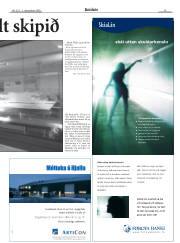 Síða 19