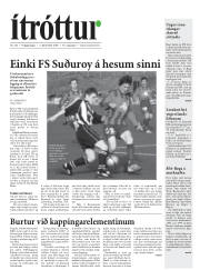 Síða 17