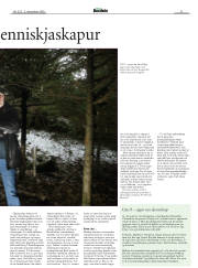Síða 31
