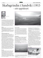Síða 36