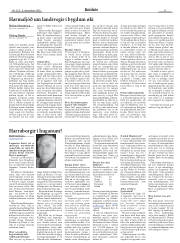 Síða 11