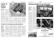 Síða 3