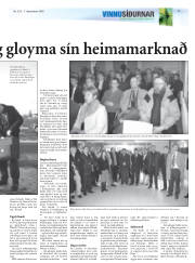 Síða 17