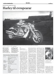 Síða 29