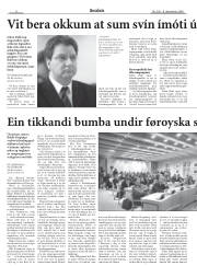 Síða 8