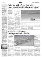 Síða 6