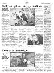 Síða 8