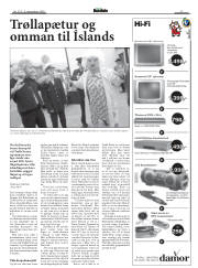 Síða 17