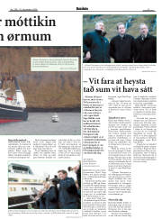 Síða 17