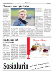 Síða 19
