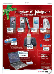 Síða 3