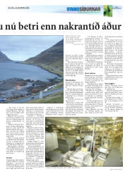 Síða 19