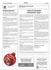 Síða 25