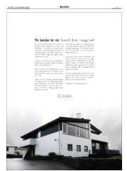 Síða 3