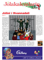 Síða 41