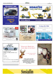 Síða 21