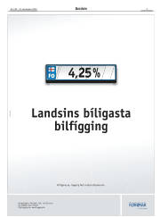 Síða 3