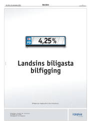 Síða 3