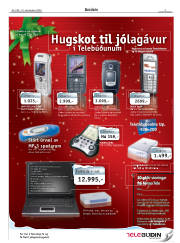 Síða 3