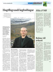 Síða 19