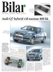 Síða 20