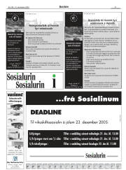 Síða 31
