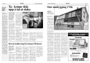 Síða 3