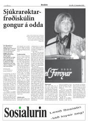 Síða 6