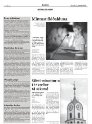 Síða 8