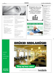 Síða 20