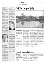 Síða 8