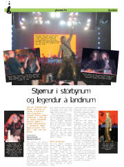 Síða 20
