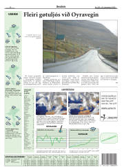 Síða 32