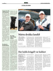 Síða 16