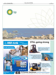 Síða 11