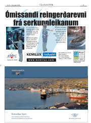 Síða 21