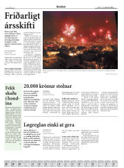 Síða 2