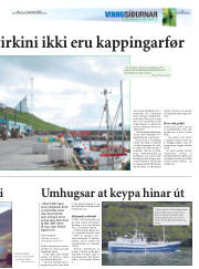 Síða 17