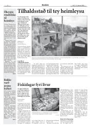 Síða 8