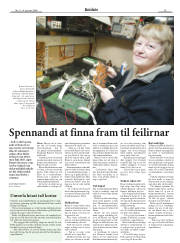 Síða 15