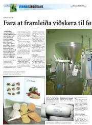 Síða 16
