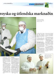 Síða 17