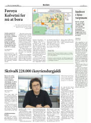 Síða 3