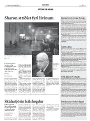 Síða 19